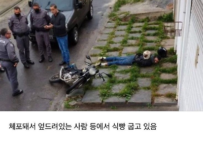 고양이는 이래도 된다 vs 안된다