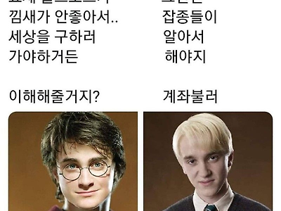 둘중에 조별과제 모둠원을 고른다면?