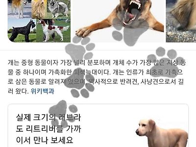 구글의 이스터에그