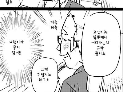 택시 탄 만화, 고양이 데리고.jpg