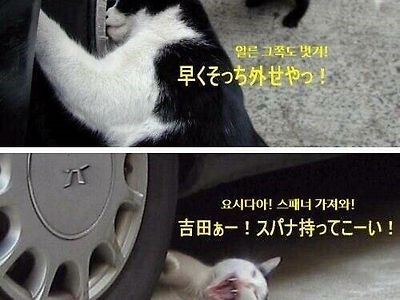 카센터가면 진짜 이럼??