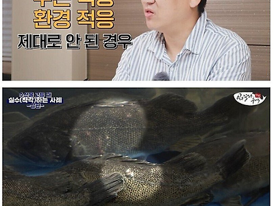 수산시장에서 횟감 고를때 꿀팁.jpg