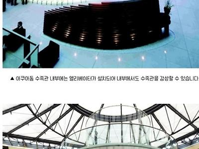 세계 최대급 원통형 수족관 근황