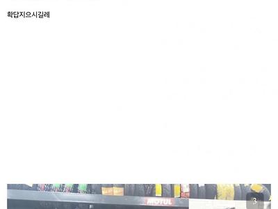 성형상담 받고 현타 온 디시인