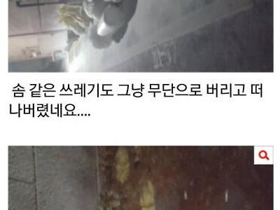 넷플릭스,'마스크걸' 촬영팀 소음·뒷정리 논란