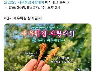 국립산림과학원 공식 "새우튀김 자랑대회"