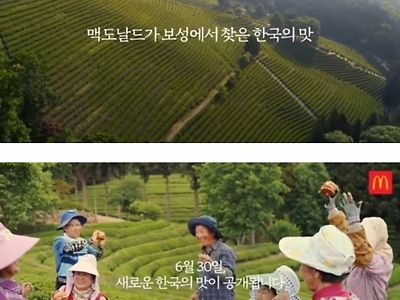 맥도날드 6/30 신메뉴 출시