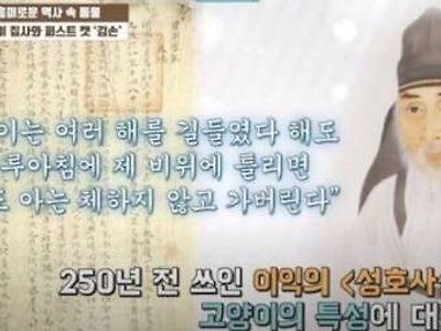 조선시대-선비의-기록으로-담긴-냥성