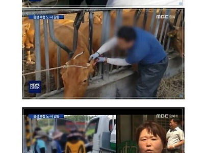 여성 인권운동이 개씹버러지취급 받는 이유.JPG