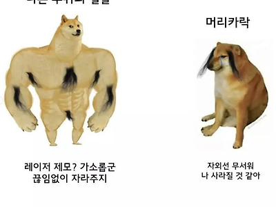 털 특)