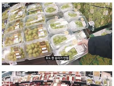 곽튜브 피셜 여행가본 국가중에 물가 제일 비싼 나라