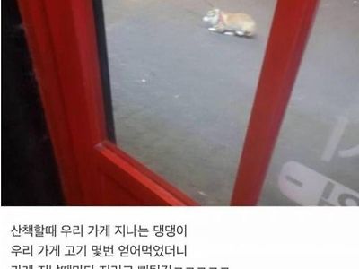 고깃집 앞에서 주인과 싸운 강아지