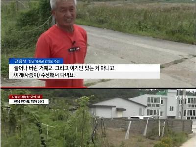 사슴 천마리한테 점령당해 고통받고 있다는 전라남도 섬
