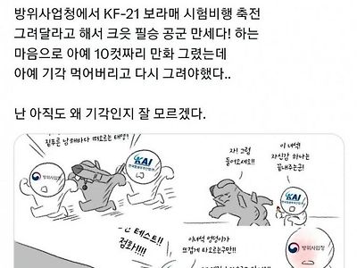 방사청이 거부한 KF-21 시험비행 축하 만화