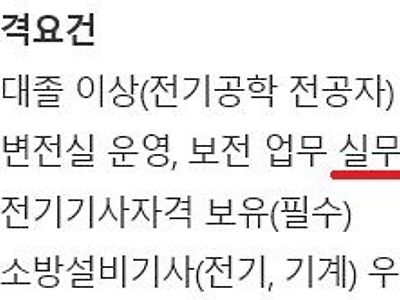 신입사원 자격요건