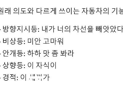 원래 의도와 다르게 쓰이는 자동차 기능들