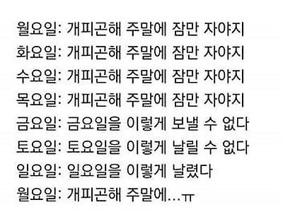 직장인 무한 반복