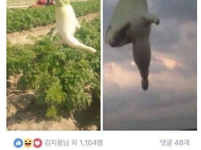 무대리 탈출