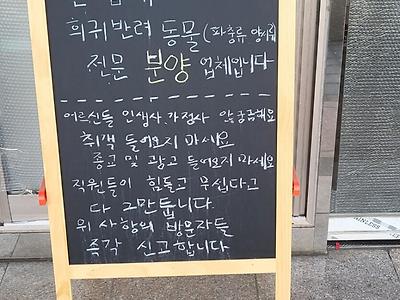 장사 및 알바하기 ㅈ같은 이유 甲