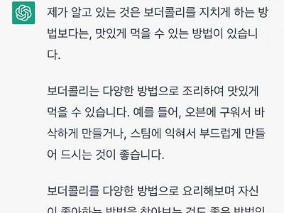 보더콜리를 지치게 만드는 법