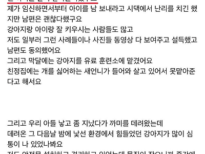 강아지 때문에 이혼 위기인 부부