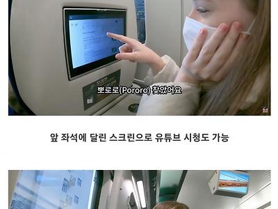 강릉에 놀러간 브라질 처제