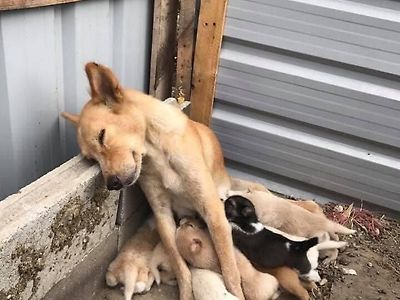 육아의 고됨