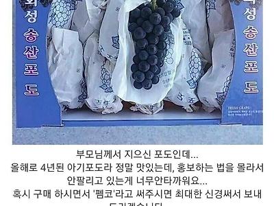 포도를.. 팔고 싶습니다