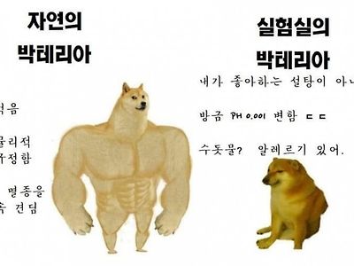 자연의 박테리아 VS 실험실의 박테리아