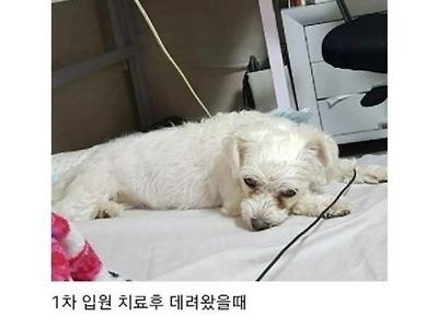 부모님 텃밭에서 시작된 인연