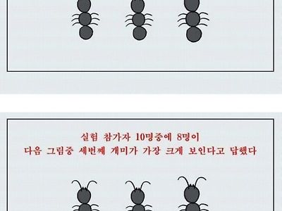 다음중 큰 개미는