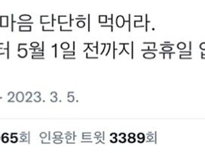 현재 많은 대학생들과 직장인들이 보고 우는 트윗