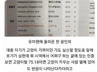 고양이가 정체를 알 수 없는 동물이라고 불리는 이유