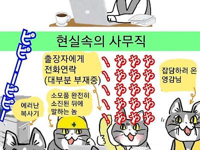 상상속의 사무직 vs 현실 사무직