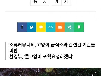 마라도 멸종위기종 뿔쇠오리 털바퀴 때문에 멸종위기라고 함