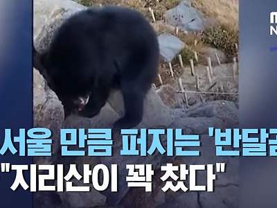 만화같아지는 대한민국의 국립공원