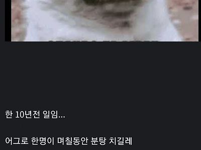 어그로 쫓아내는 법