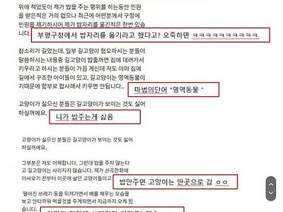 캣맘의 사과문