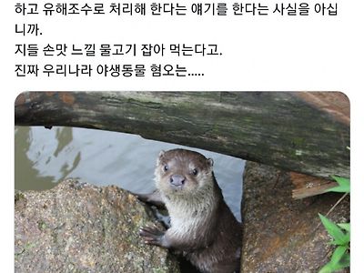 수달한테 분노하는 '일부' 낚시꾼들