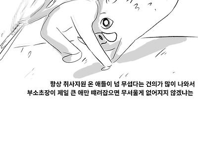 강원도 멧돼지 라이더