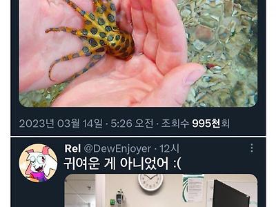 귀여운 문어를 주운 사람의 최후