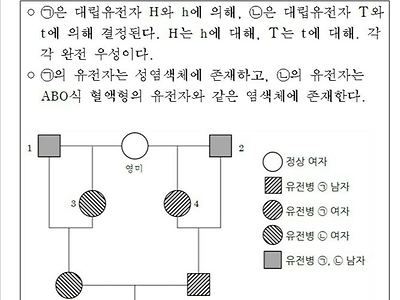 수능문제 히토미
