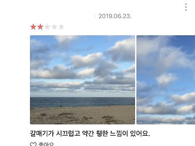 꽤 신빙성 높다는 카카오 평점.jpg