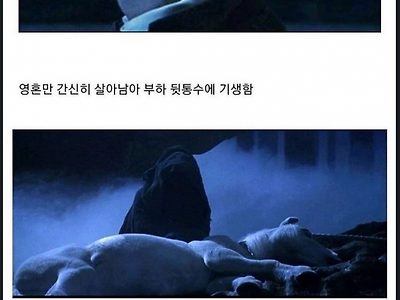 해리포터 볼드모트의 삽질.jpg