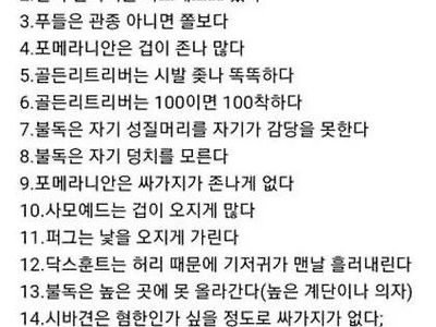 애견카페 알바가 본 견종별 특징