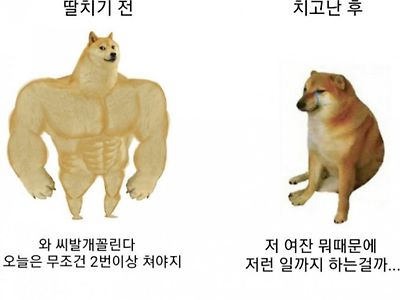 전과 후 반응