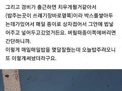 길고양이 밥주는거 너무 서럽네요