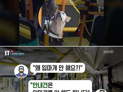 수원 버스기사 안내견에 "왜 입마개 안했냐" 호통