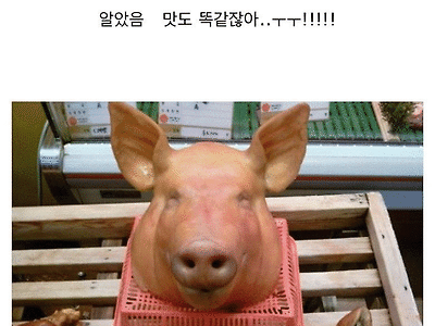 커서보니 꺼림칙한 음식
