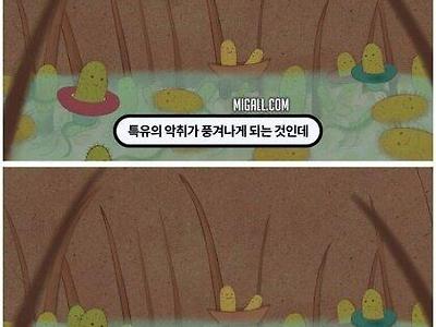 한국인이 암내가 안나는 이유.